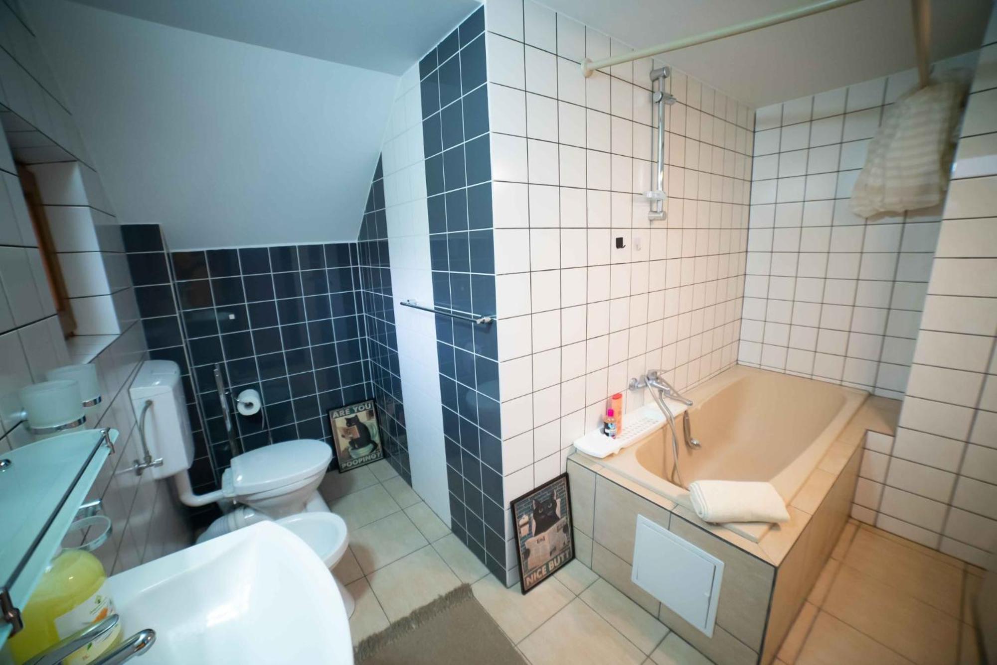 Full-House Si Gradina In Bucovina, Lisaura Villa Eksteriør billede